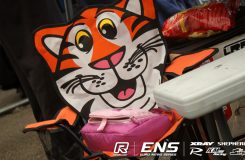 sun-tonytiger